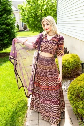 Brown Color Thread Embroidery Silk Lehenga - Clearance