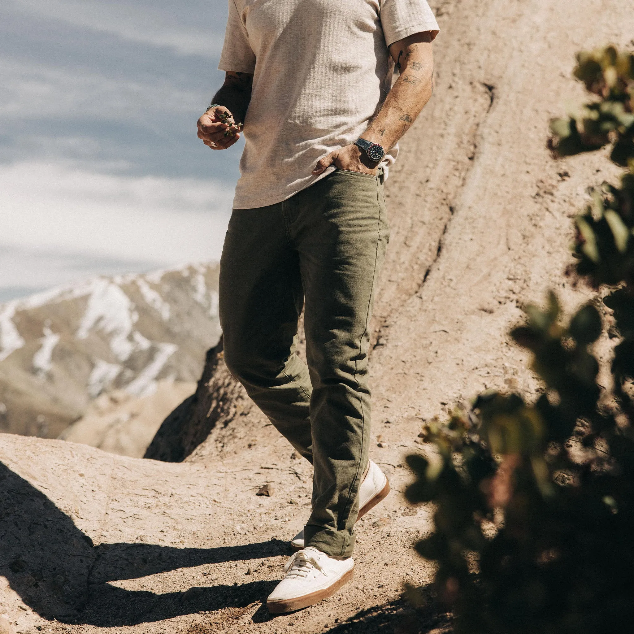 The Slim All Day Pant in Arid Eucalyptus Canvas